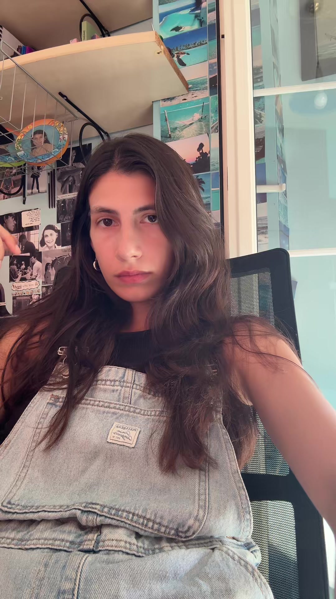@aphvlogs