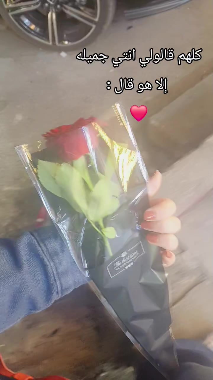 @أمـّرّأهّ گـالـّقـّمـّرّ 🌙