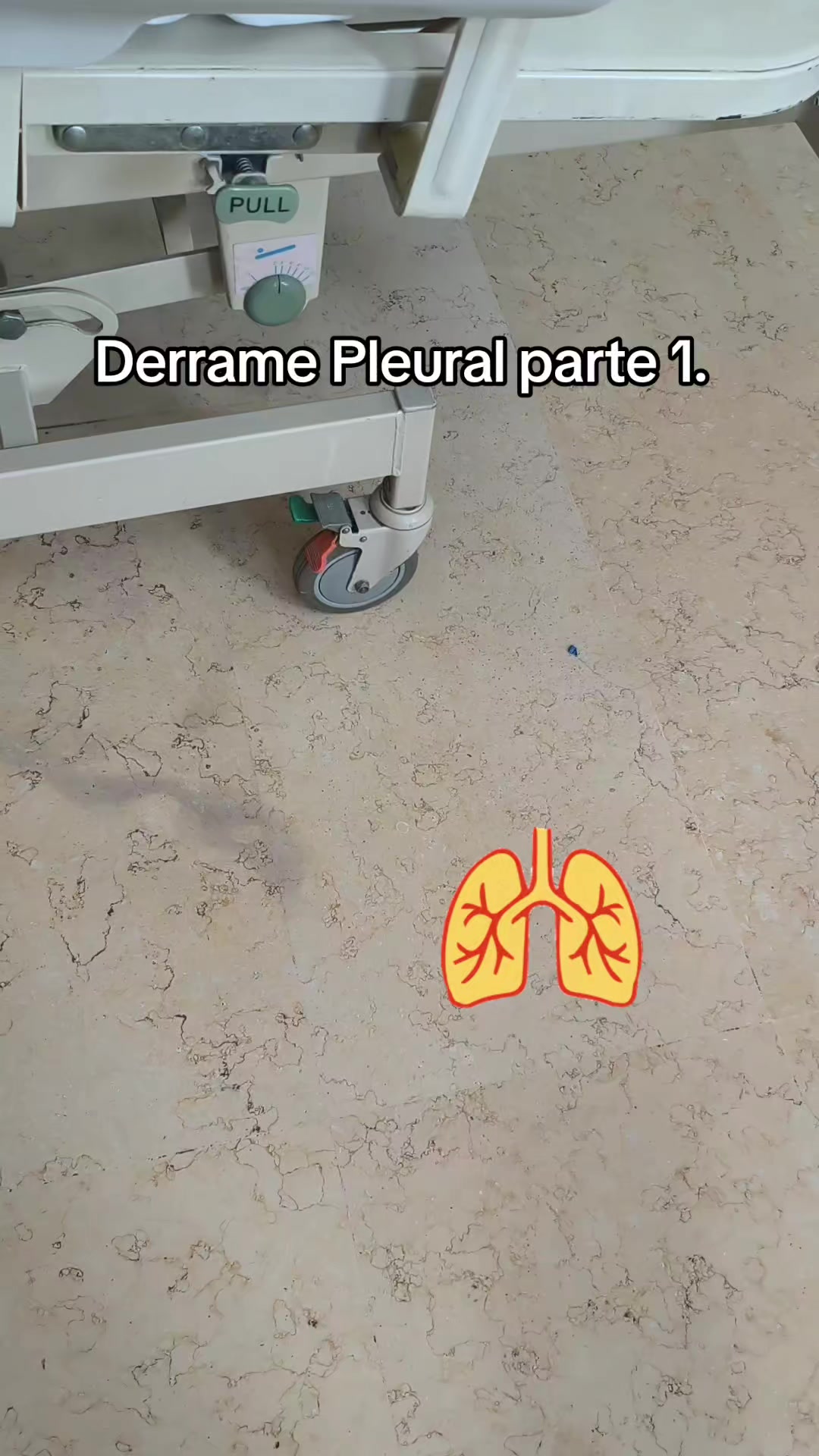 @Dr. Ajolote.