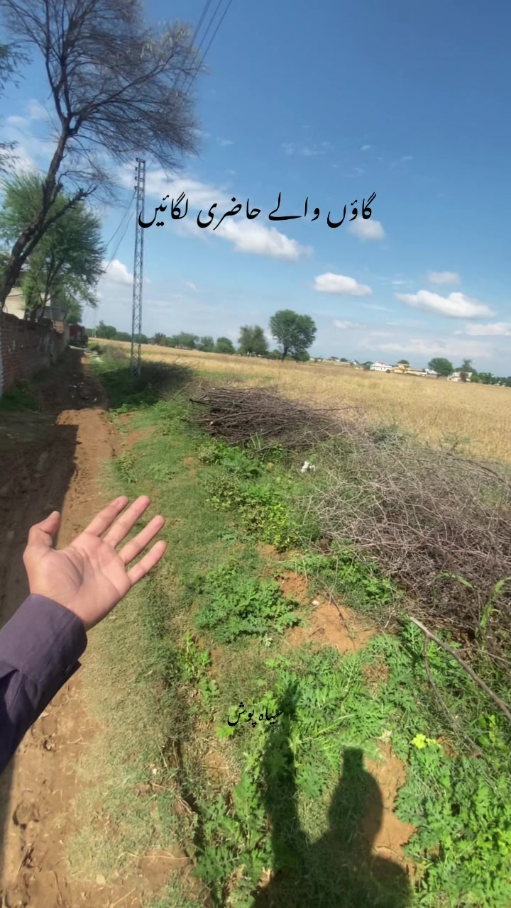 @سیاہ پوش🖤