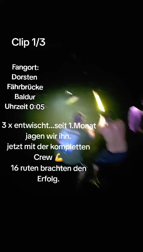 @Angelgerne