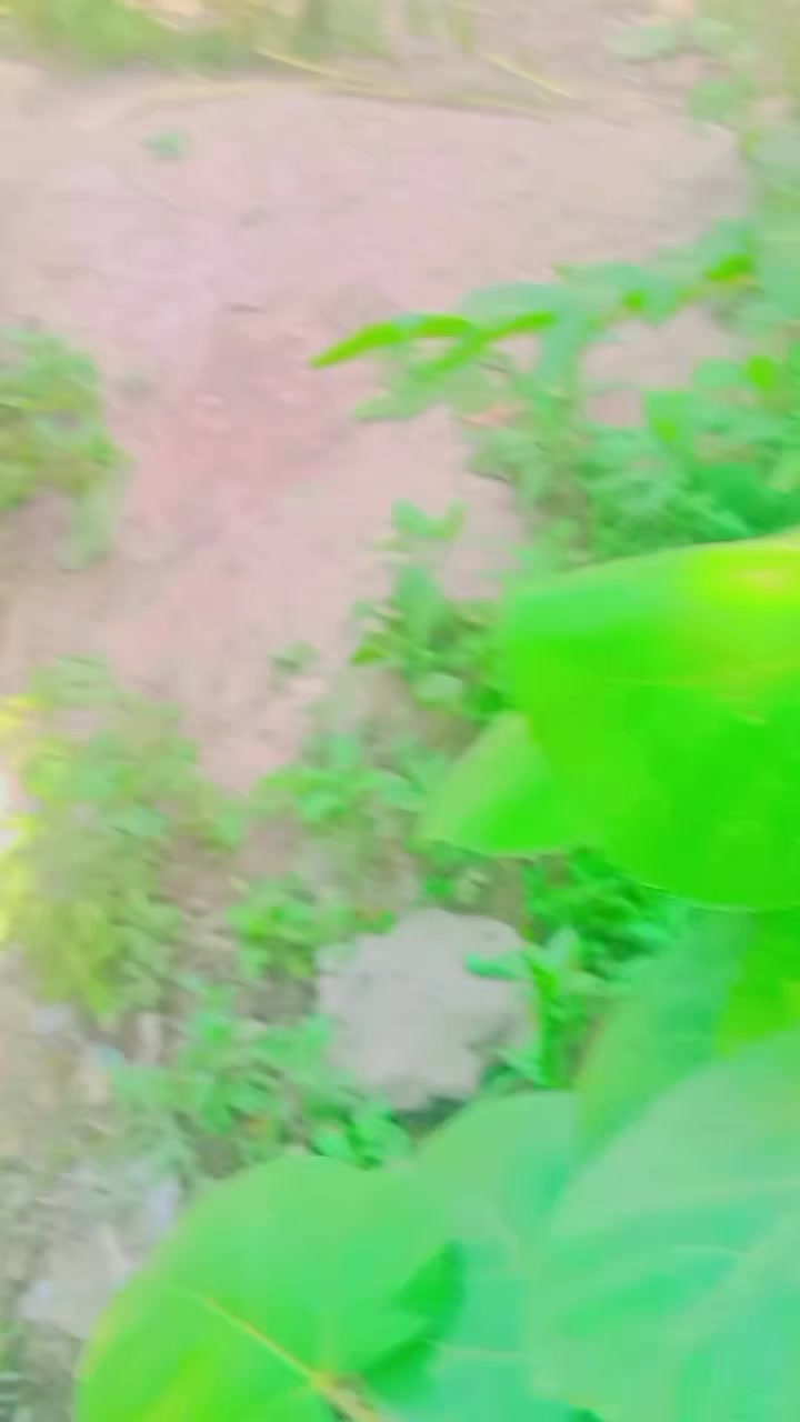 @(((((((((SEQANDAR)))))))))