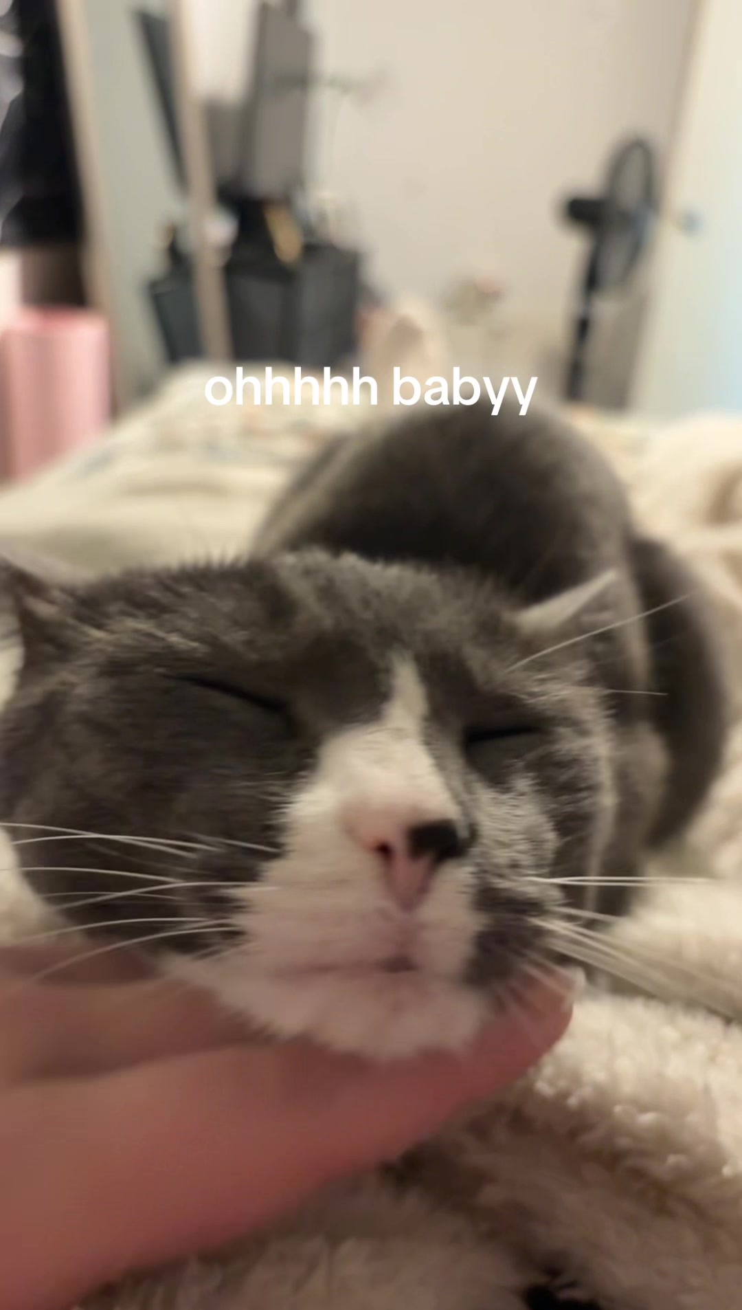 @maryyy🍄🧚🌙🐈⬛