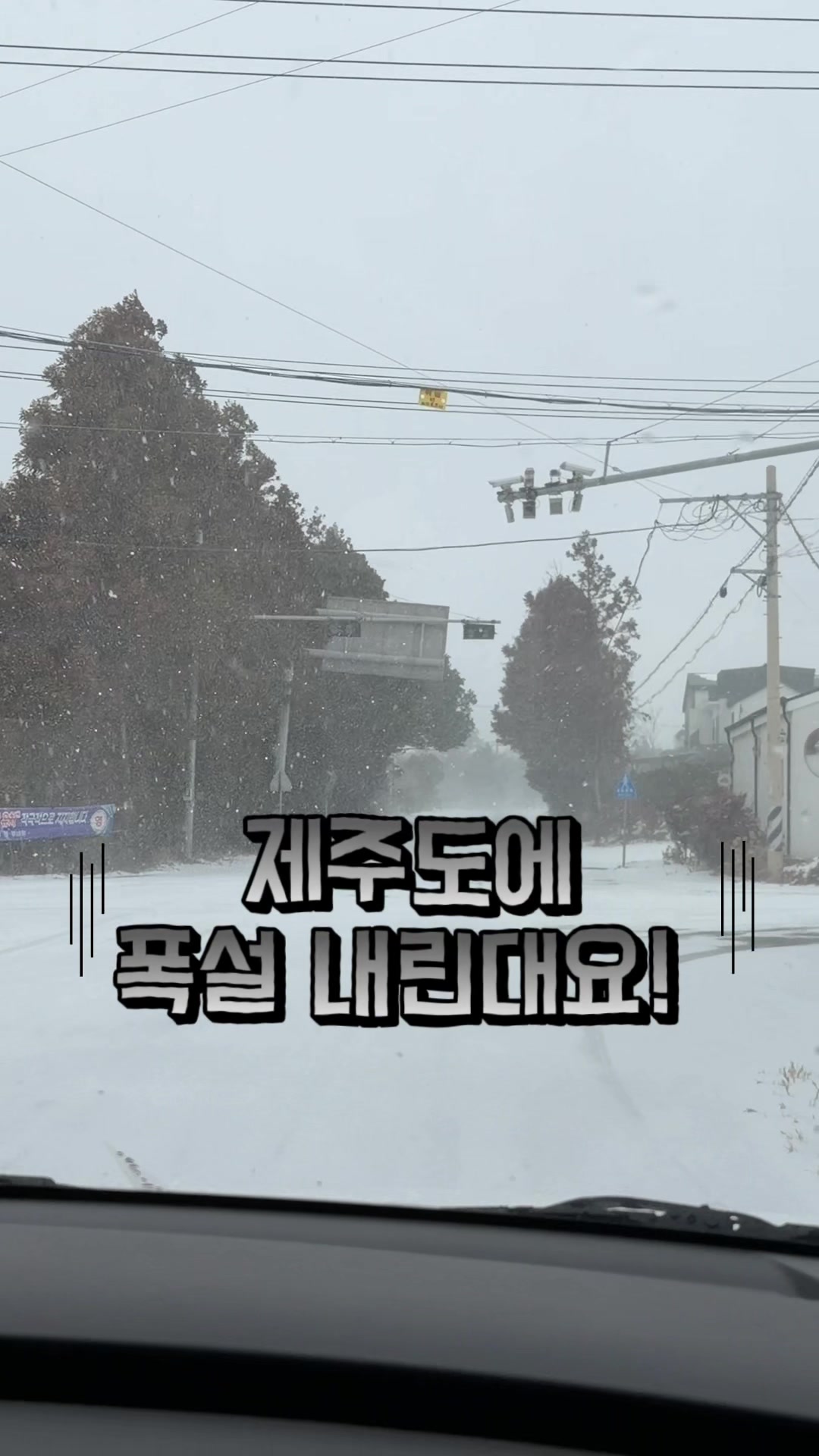 @다늘 allalways