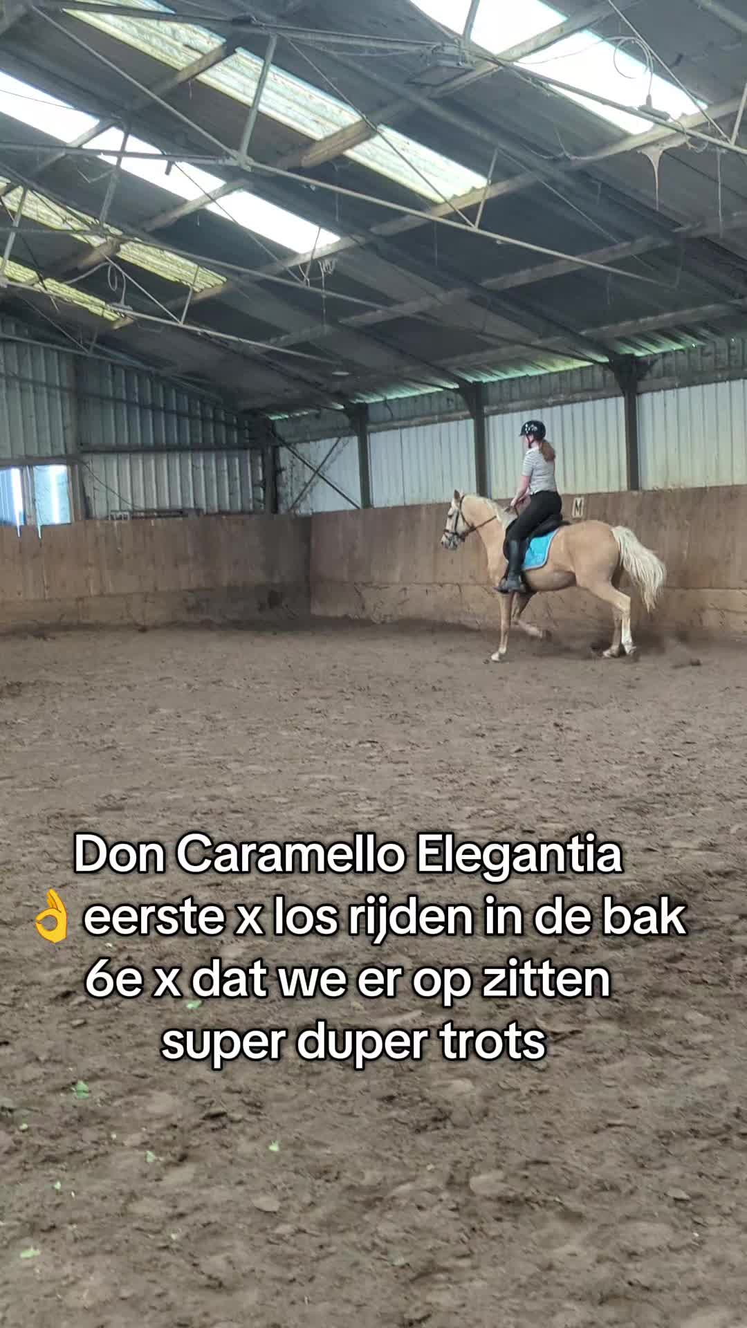@Elegantia Horses