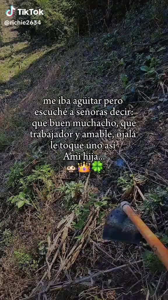 @siempre al millon