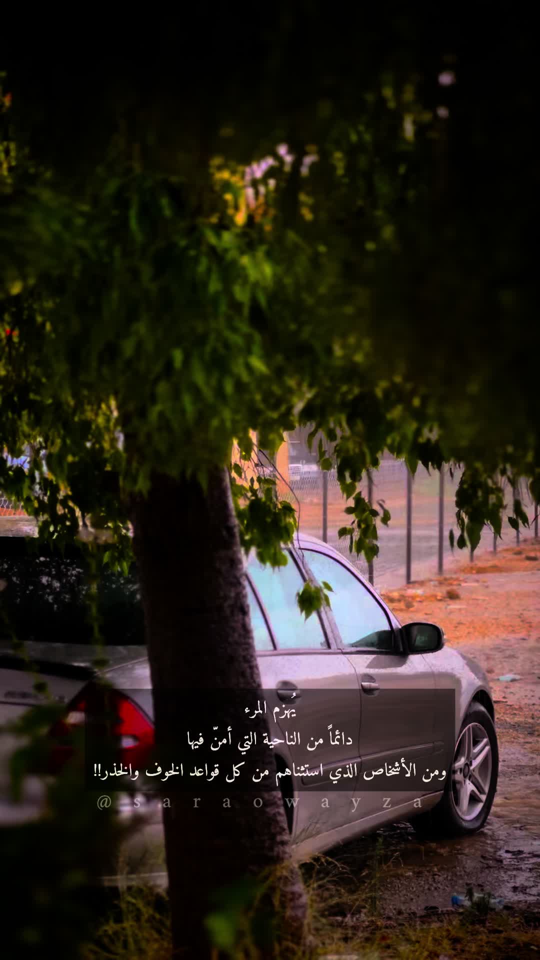 @༺S A R A༻