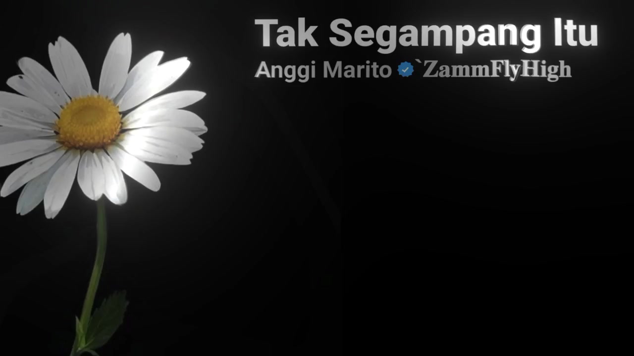 @`𝐙𝐚𝐦𝐦𝐅𝐥𝐲𝐇𝐢𝐠𝐡
