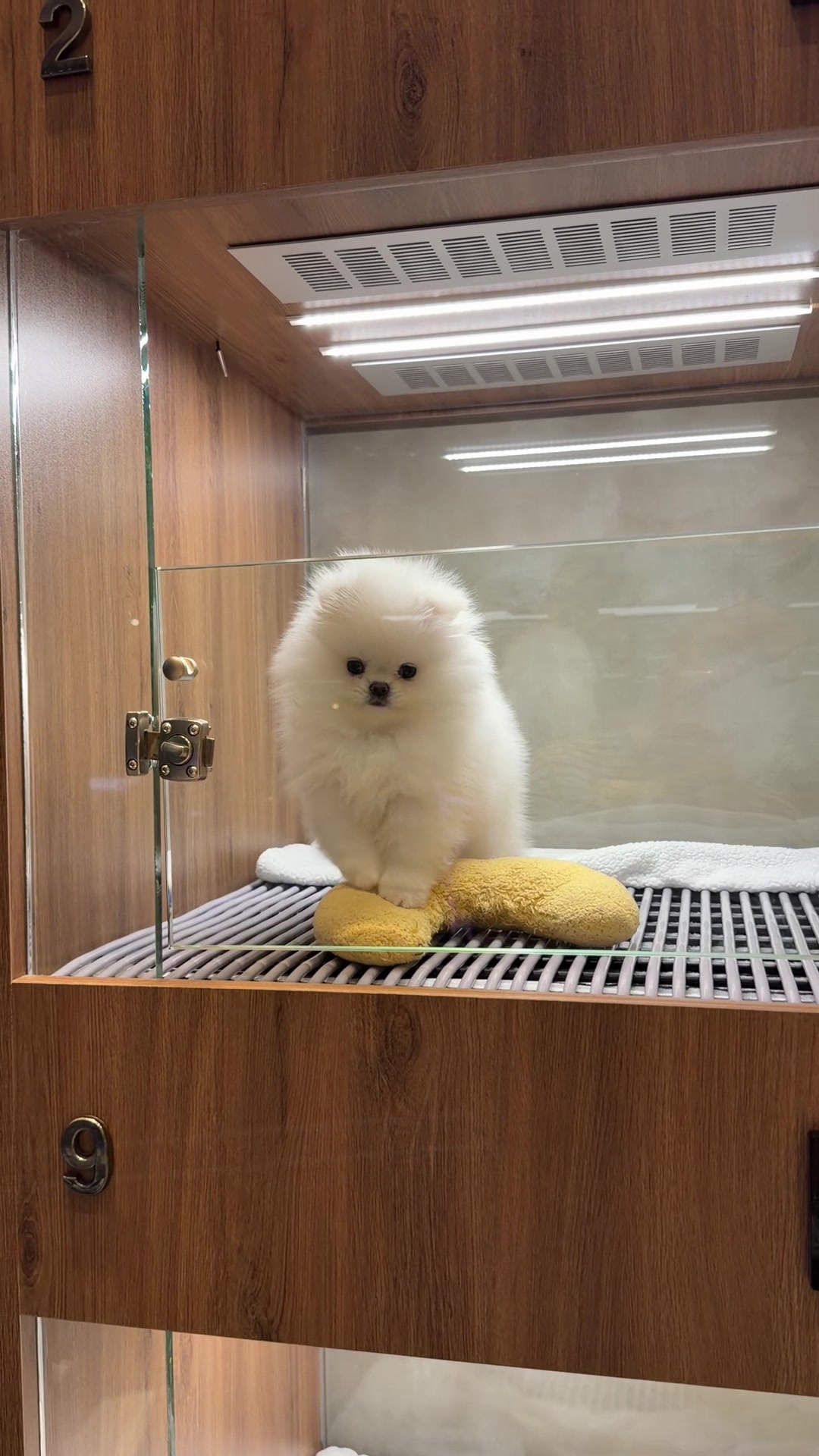 @JC Dog Republic
