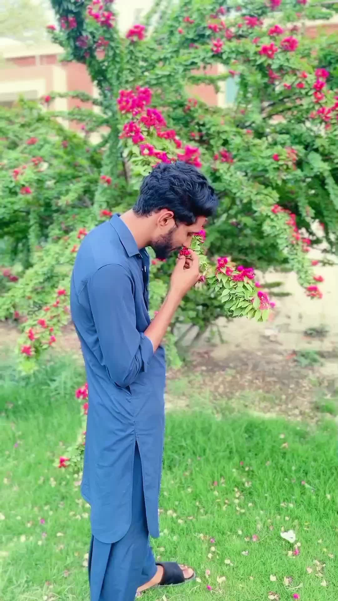 @Mian Mazhar Aslam🦅