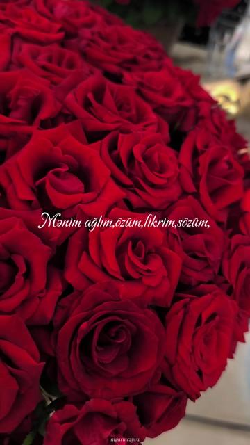 @gulshen__96
