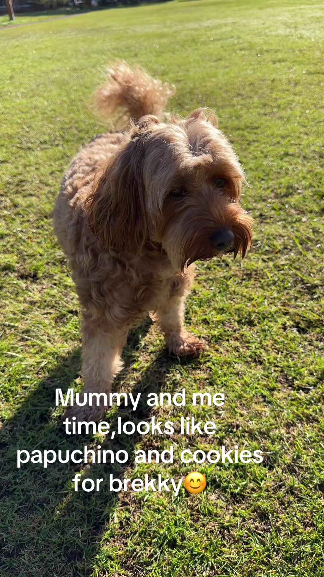 @Teddy the cutie pie