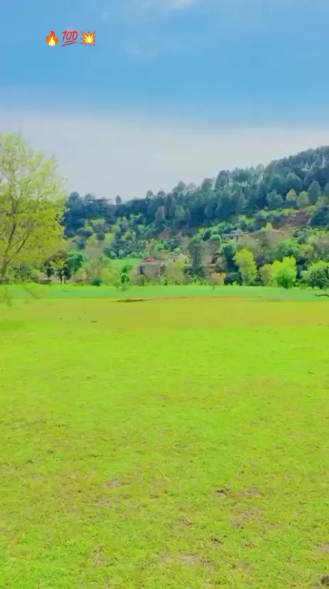 @💥کشمیری 💫سدوزئی🔥