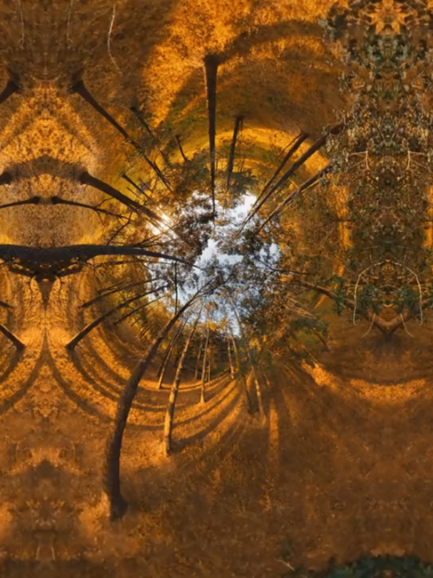 @Craig Charles Pro Drones