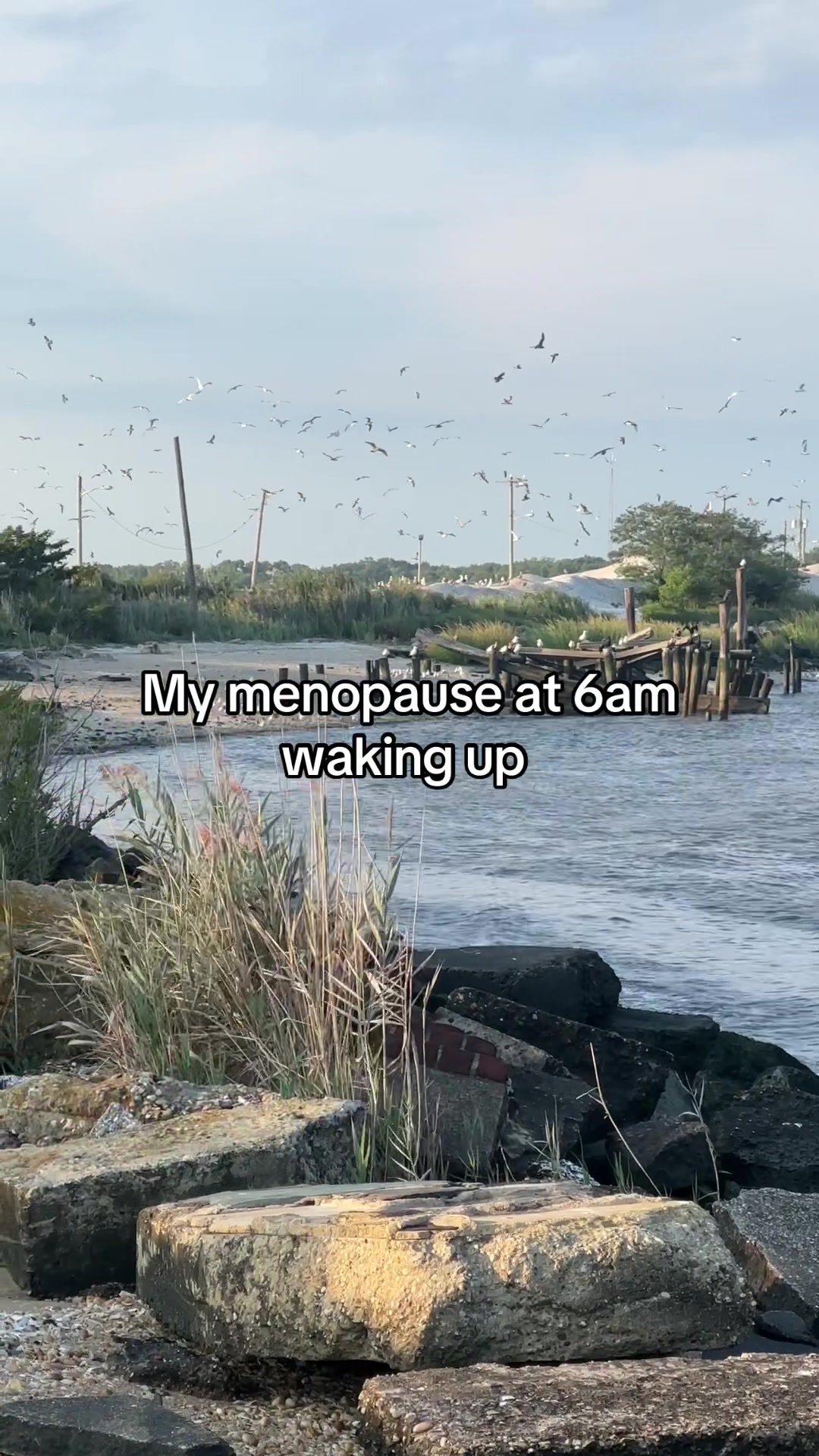 @Alyssa Nicole