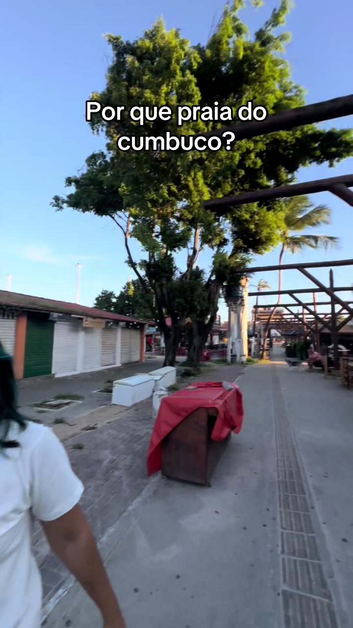 @biasaleszs