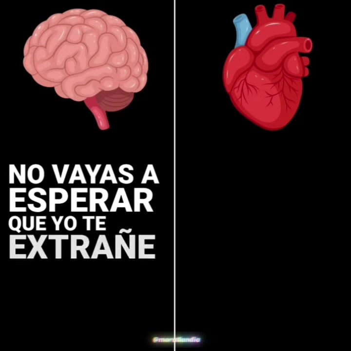 @𝑴𝒐𝒓𝒂𝒕𝒍𝒂𝒏𝒅𝒊𝒂