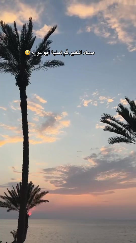 @ورد تبوك🌺✨