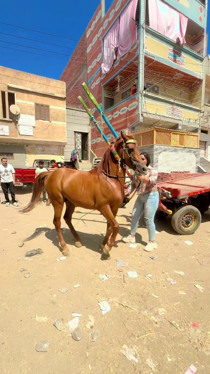 @الملكه شهد عبدالرحمن 🥇🐴&hearts;️