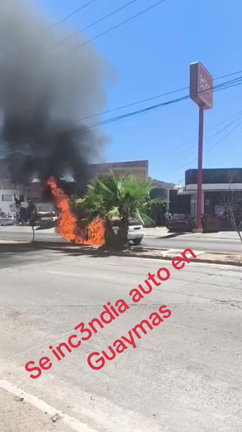 @elportaldelanoticia