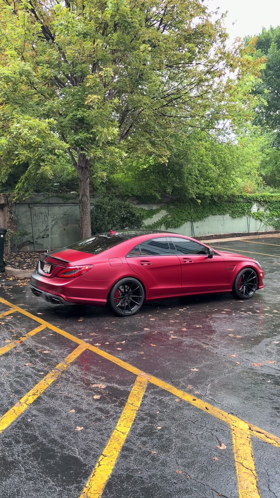 @mali_car_wrap