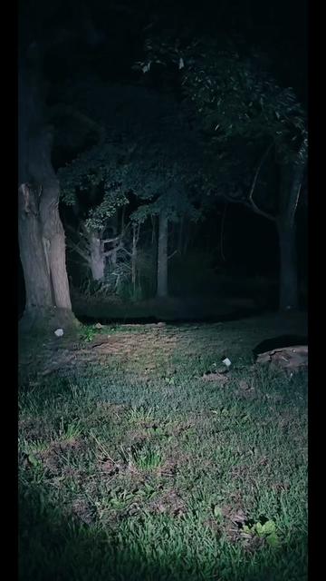 @🕯️✨Porchlight Paranormal✨🕯️