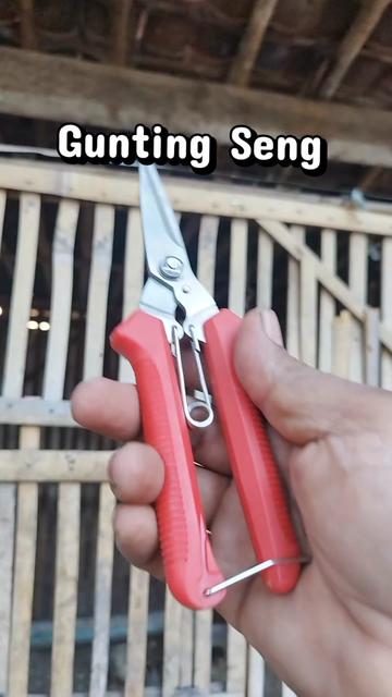 @KONTEN MATTA