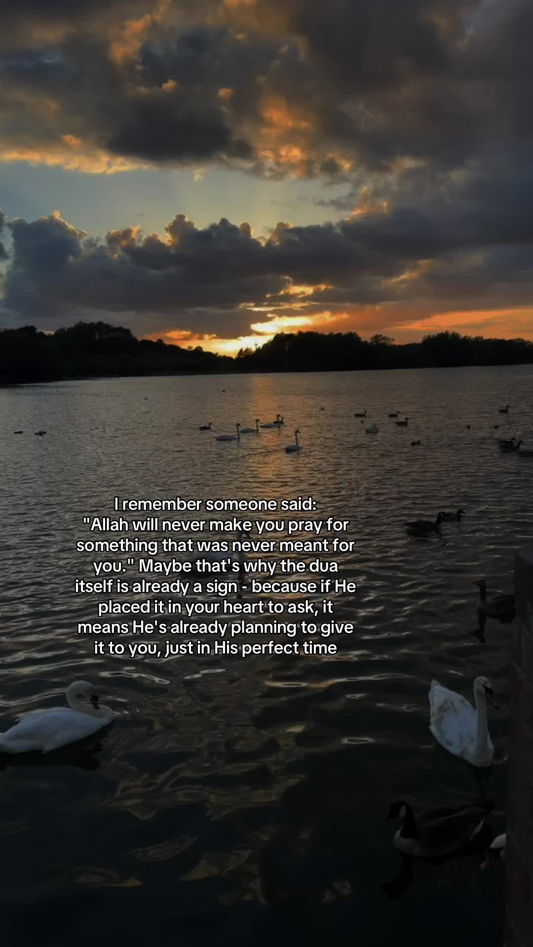 @Islamicremindersxxo