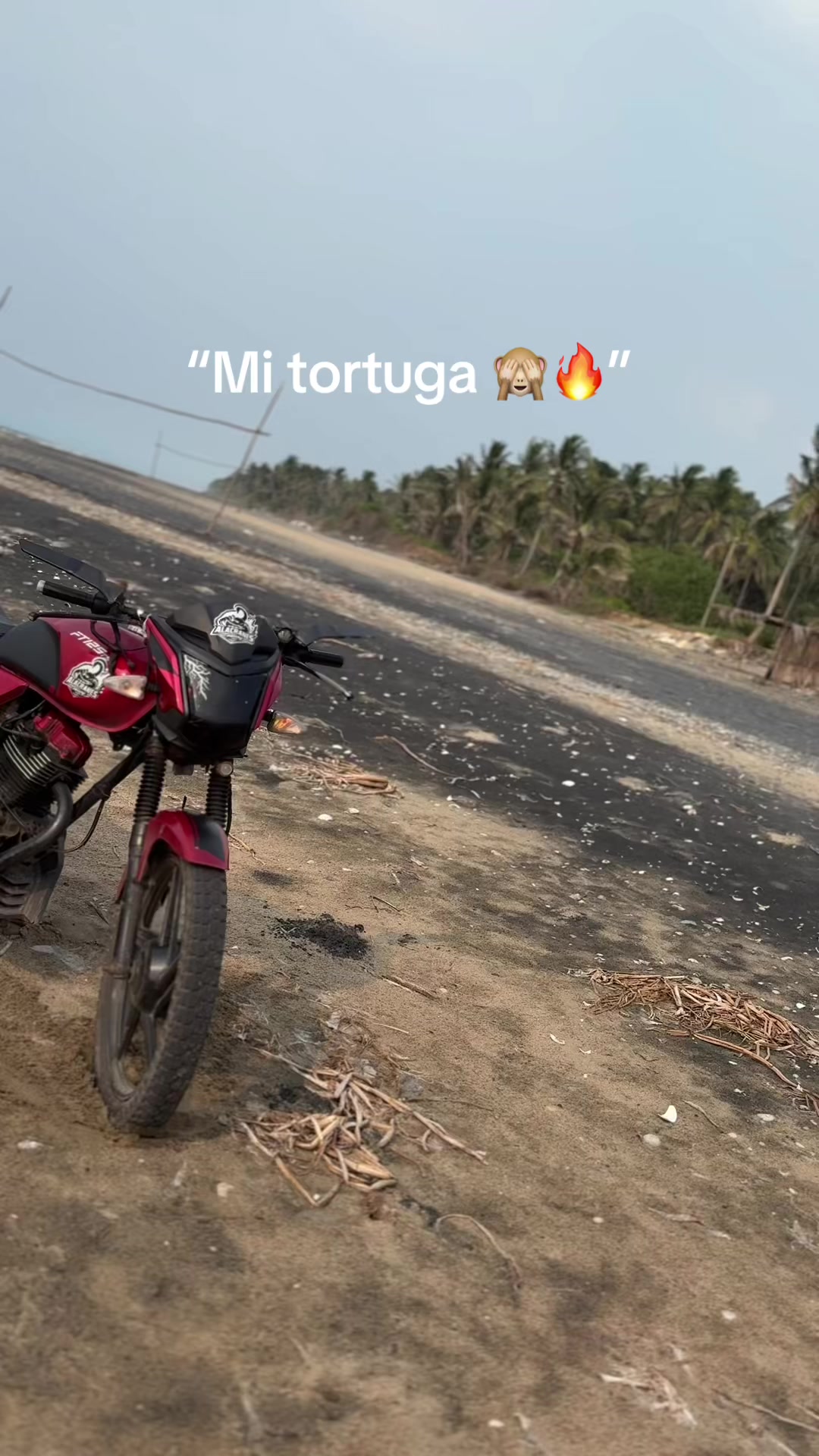 @Angxl_CxZ.💤🦥