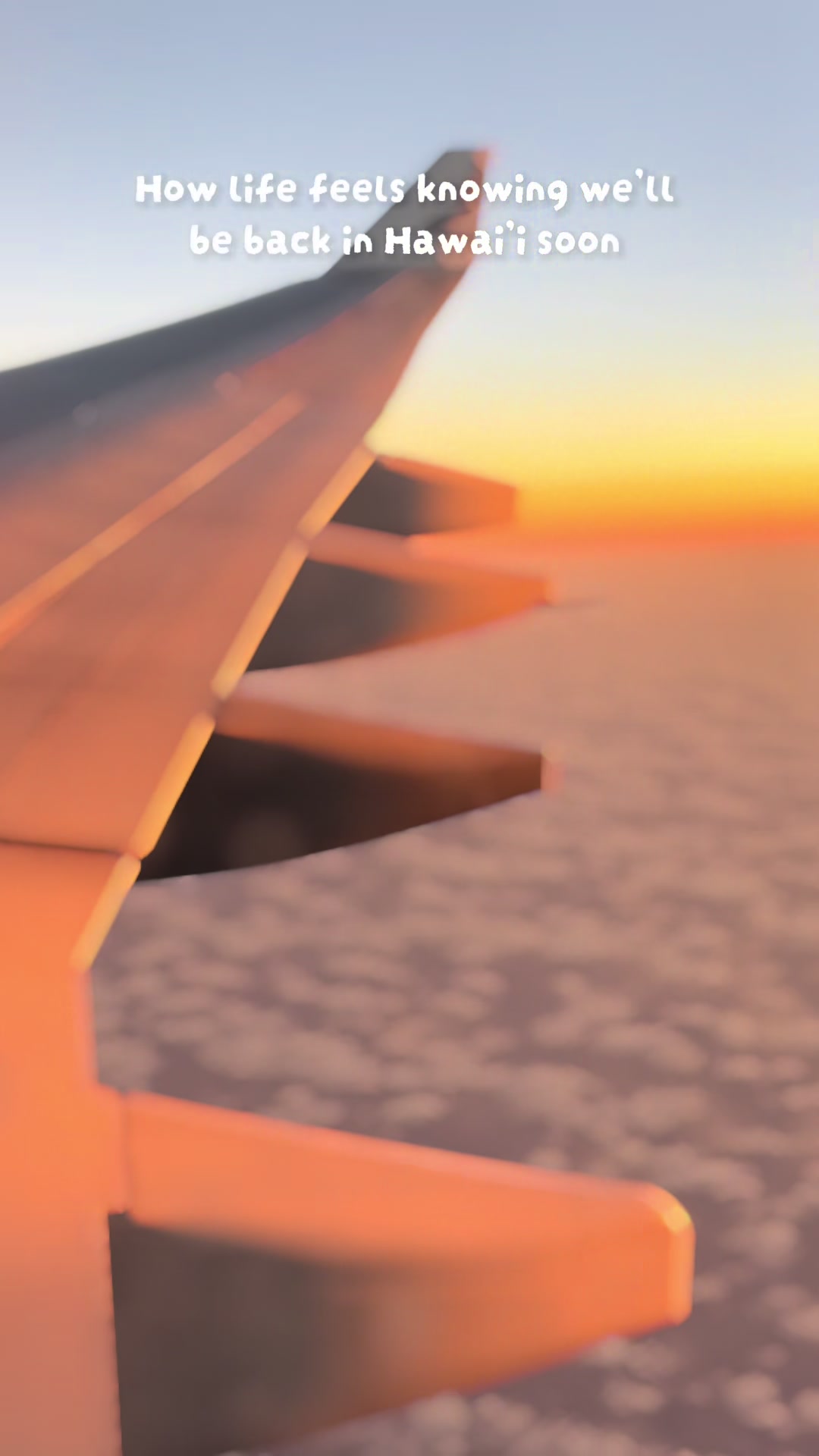 @keliisa🌵✈️