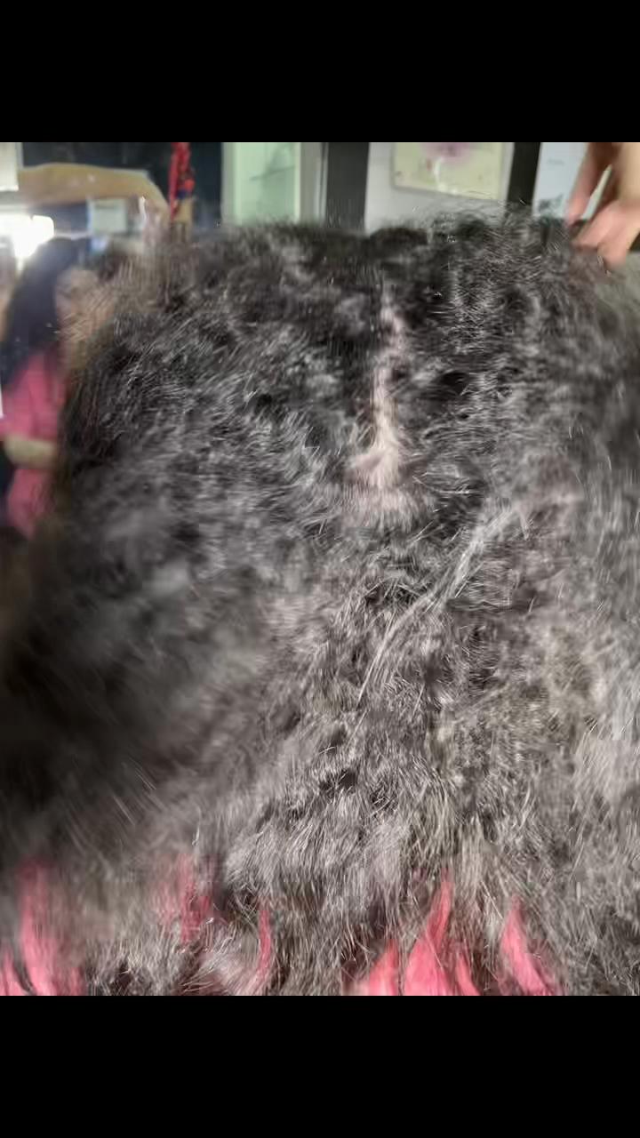 @Alisados_shizuka