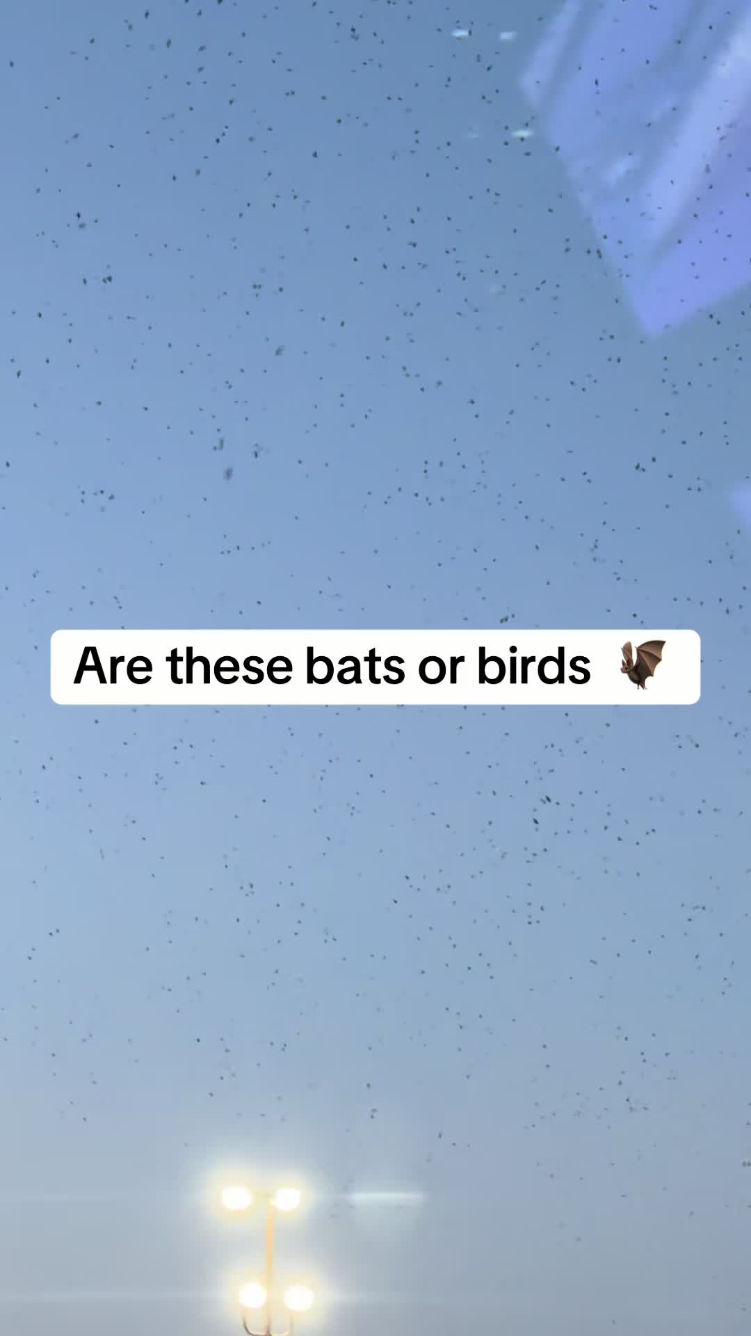 @brianjohnsadventure