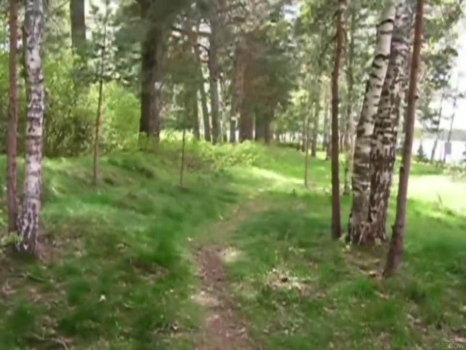 @Туманная поляна