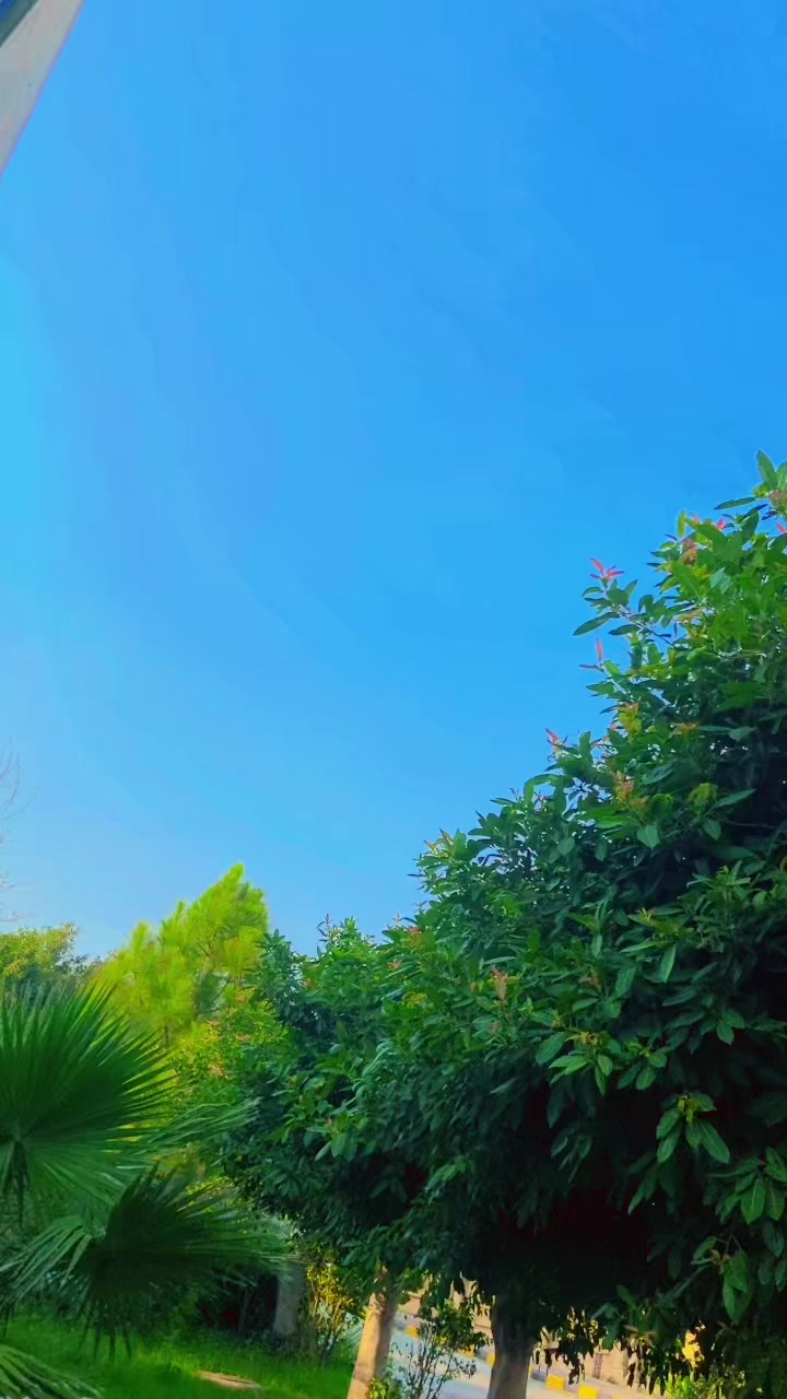 @راجپوت 🥷🏻😎