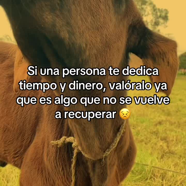@Juan Rodríguez 🐄