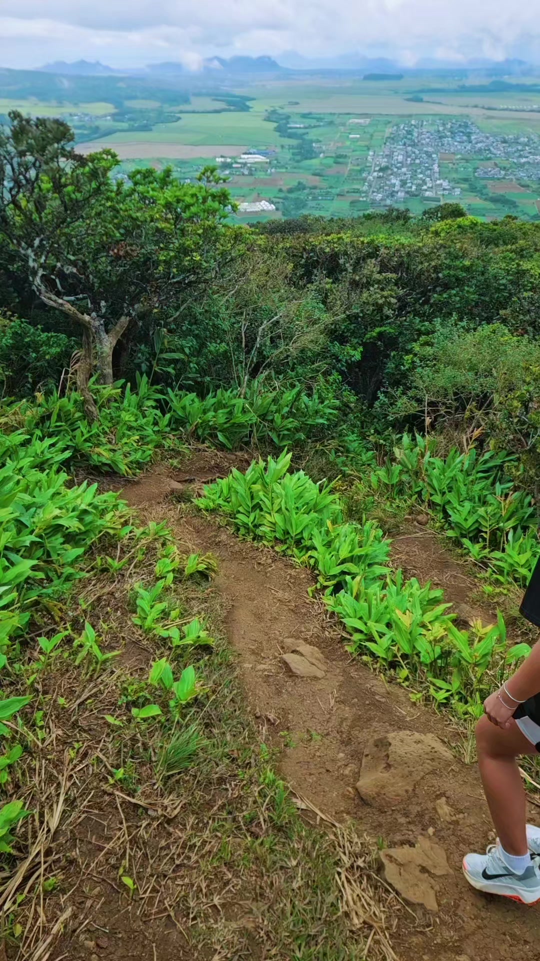 @Yassir Greenhike 🇲🇺