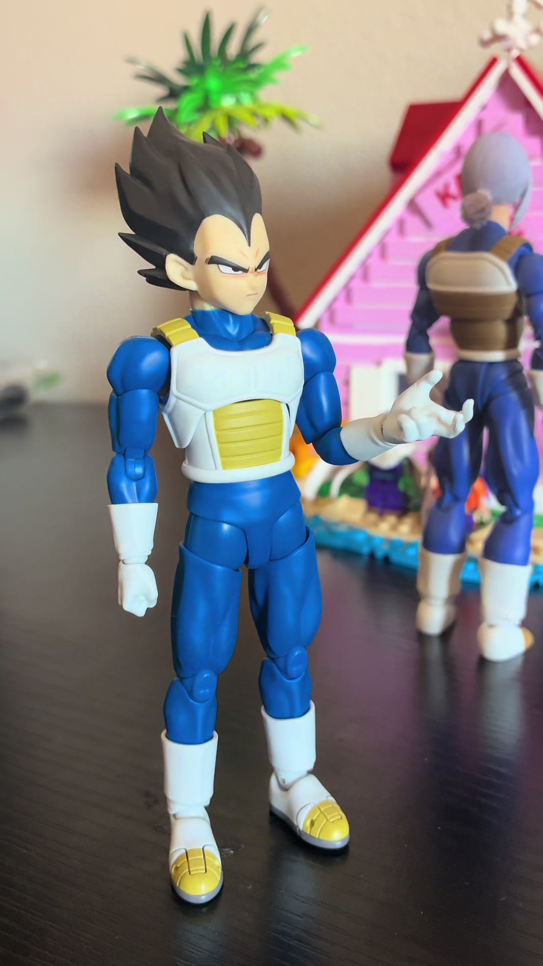 @Kame Sennin