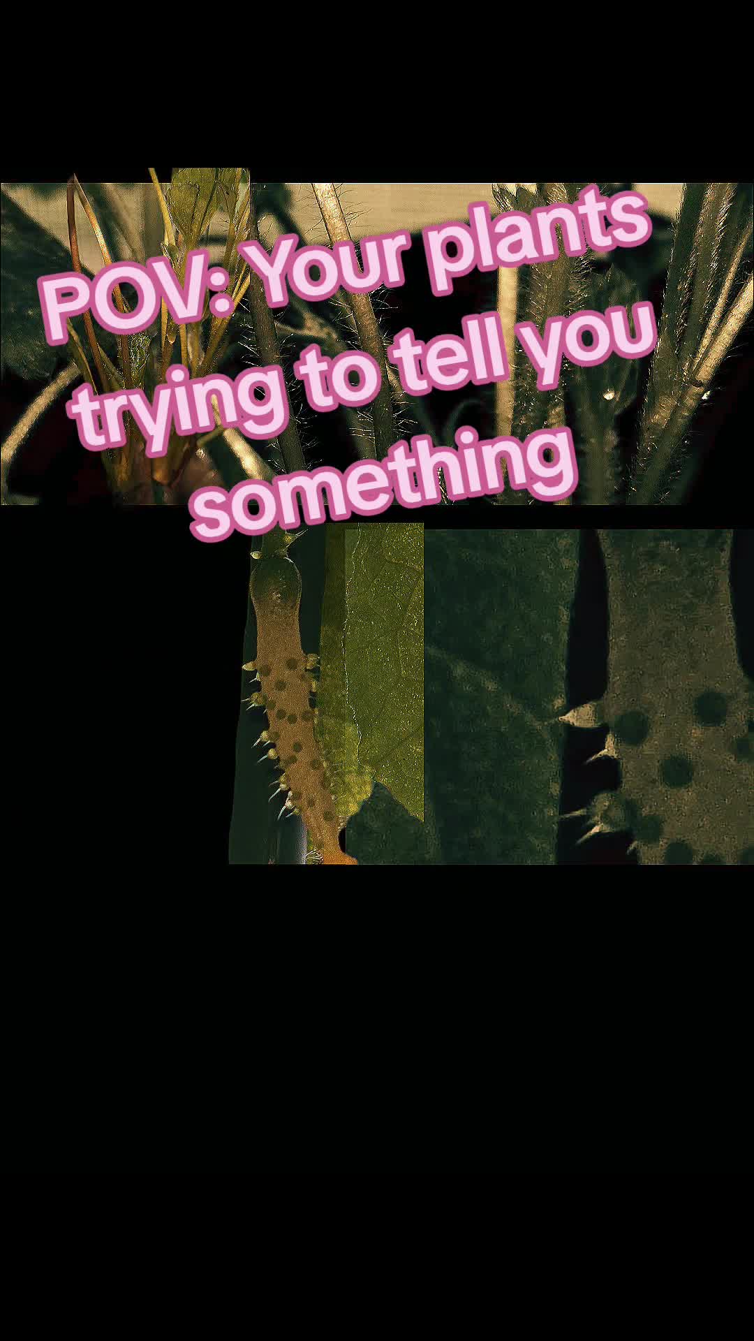 @shesgonnatalkaboutit