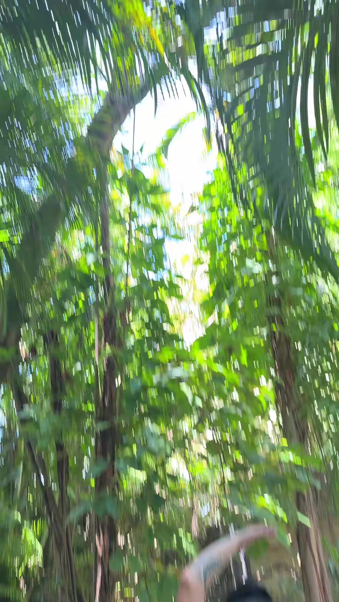 @@brunettevibes🤎🫂
