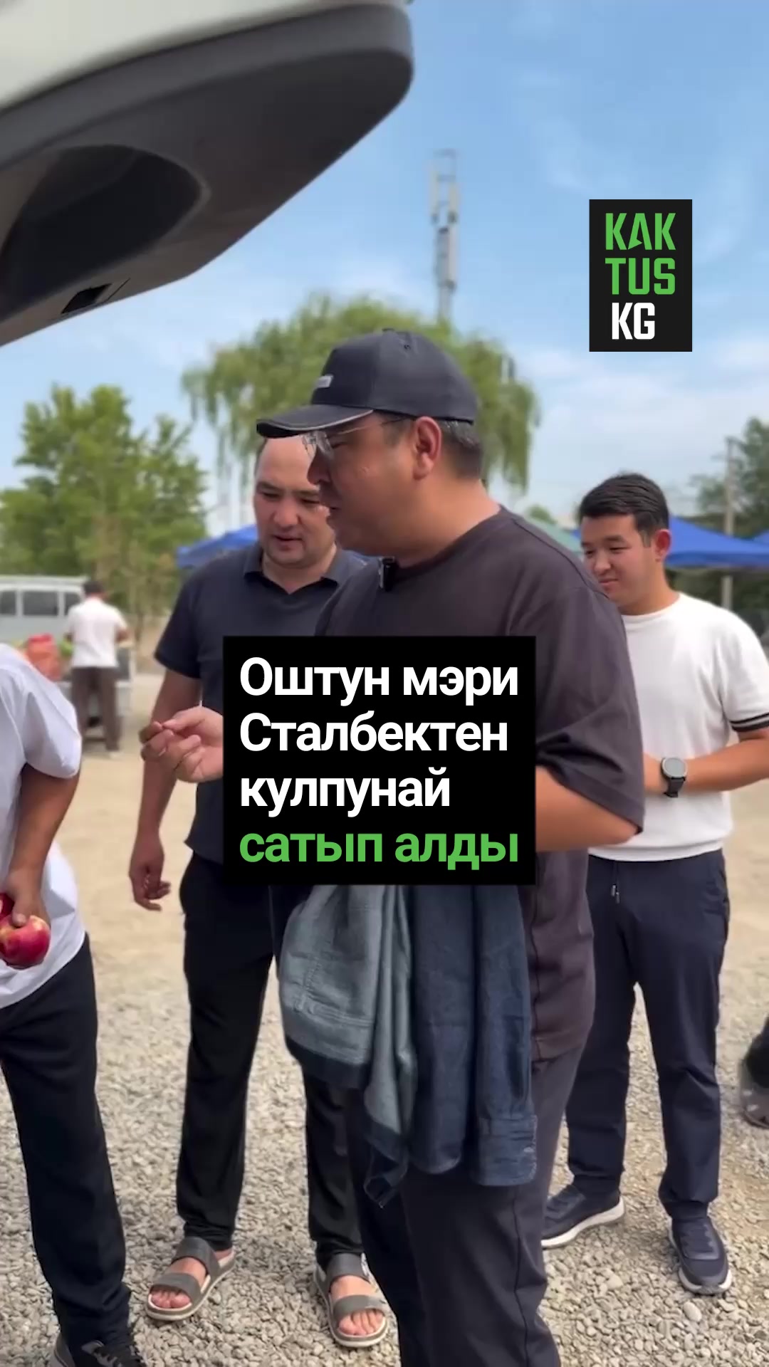 @Kaktus KG
