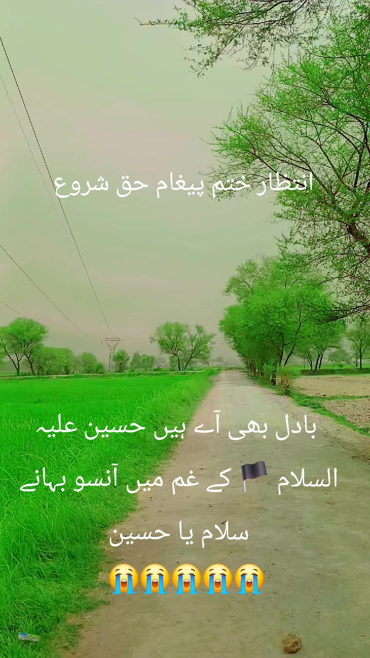 @🏴🏴شاہ زیب🏴🏴