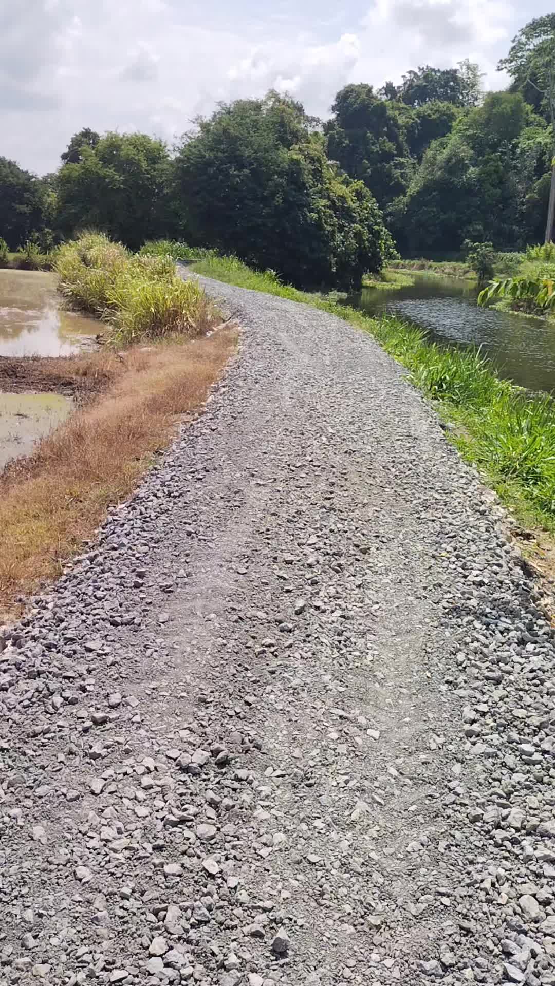 @mail8888_