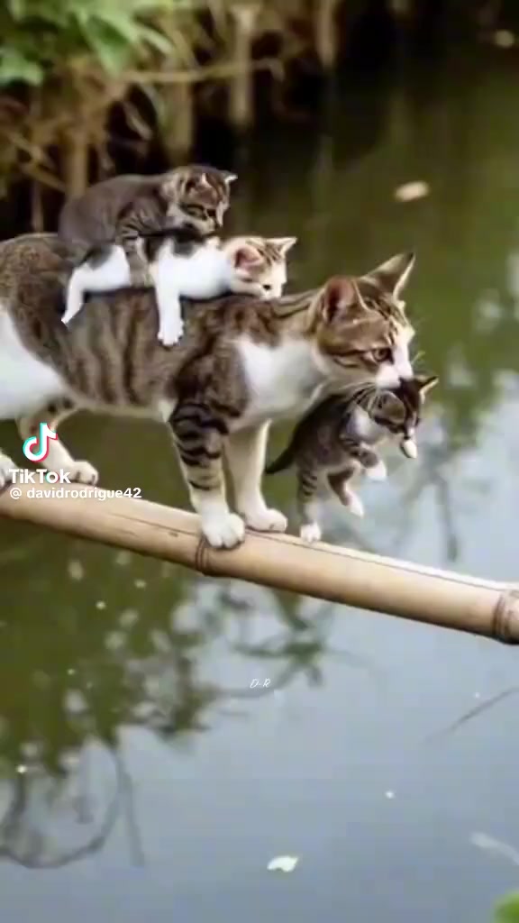 @Raviraj
