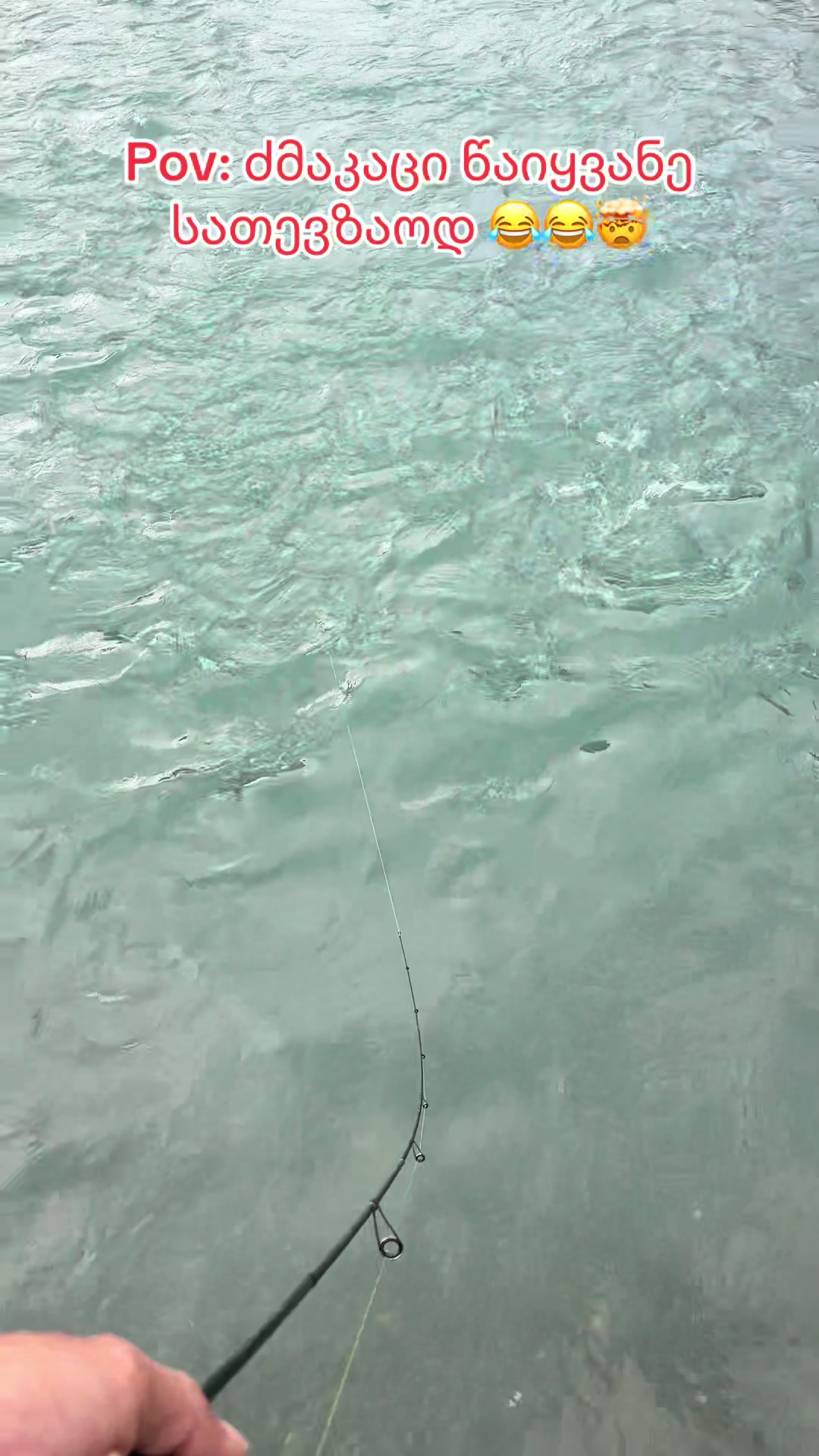 @fishmania