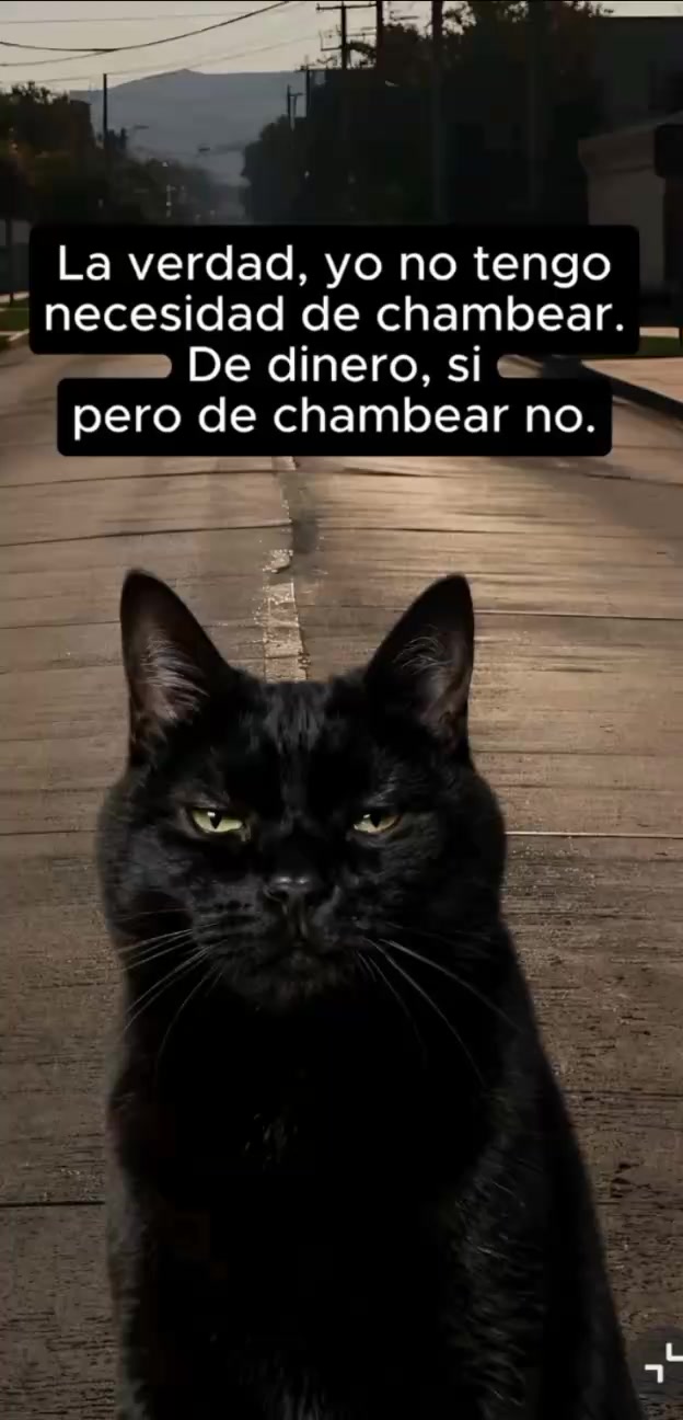 @Querubín