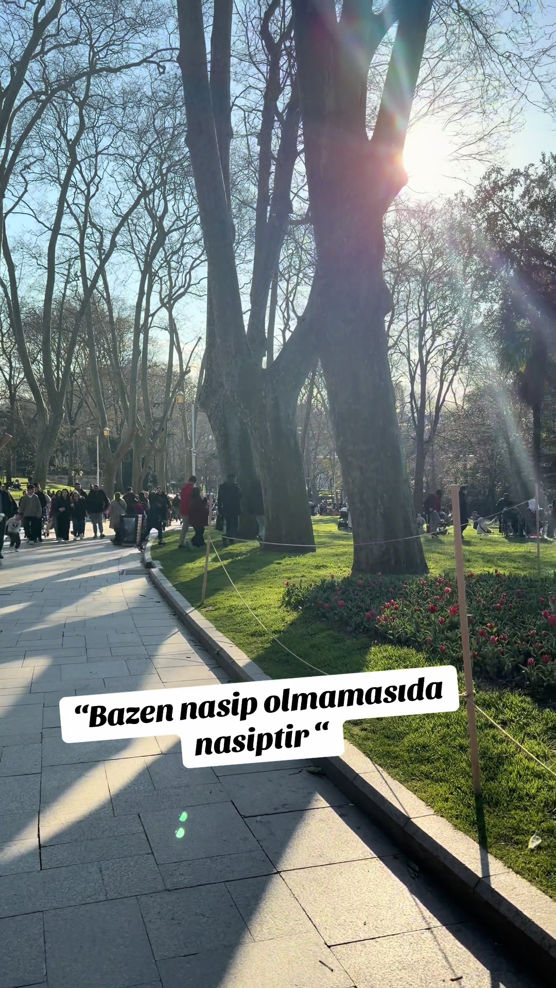 @〰️&bull;.🤍58T&uuml;lay34🤍.&bull;〰️