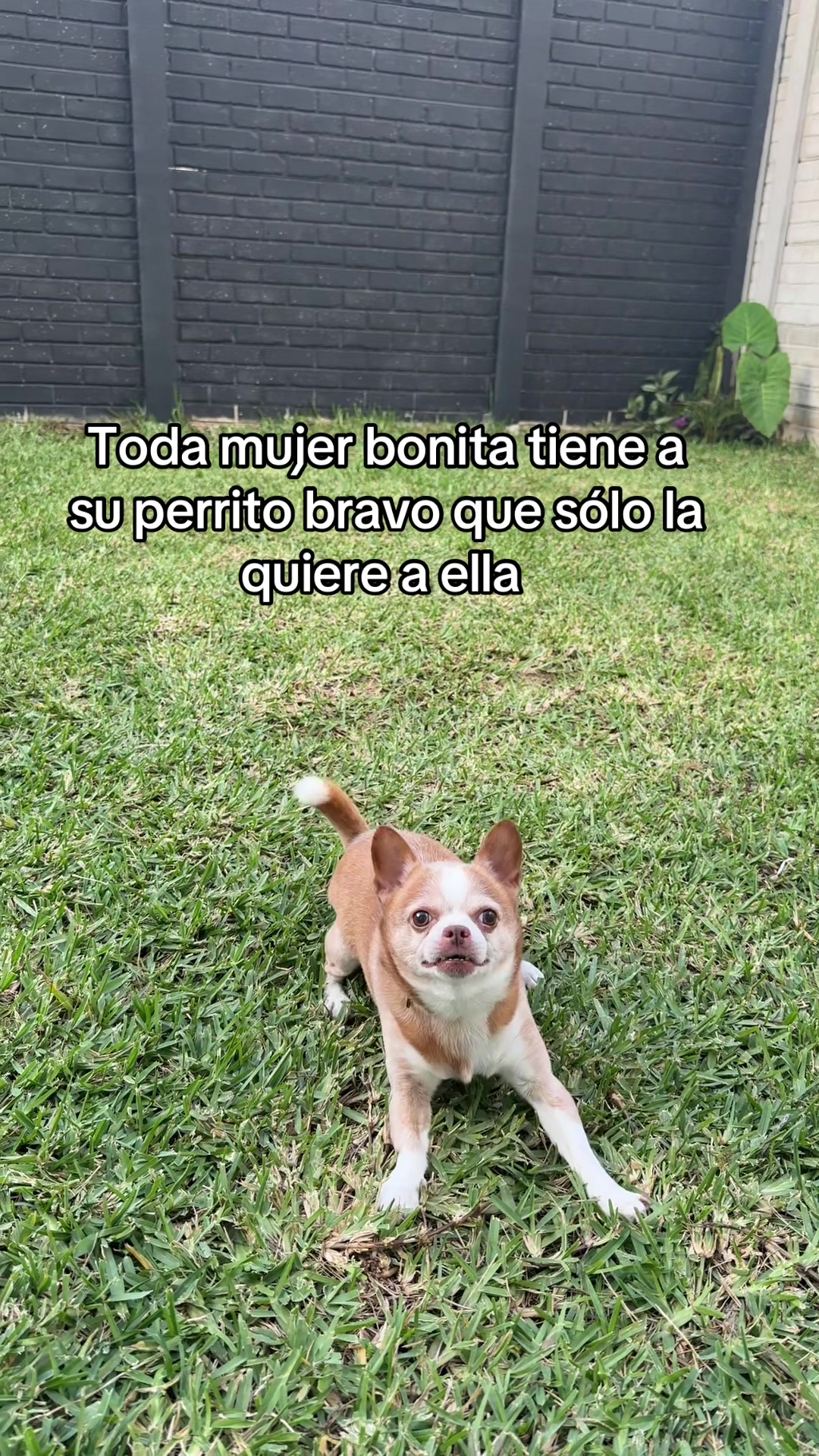 @MariaJose 👸