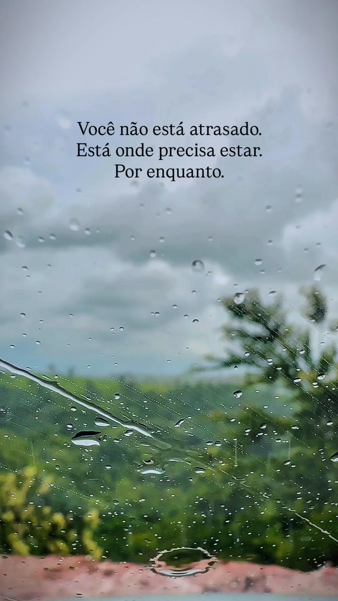 @Alberto Santos