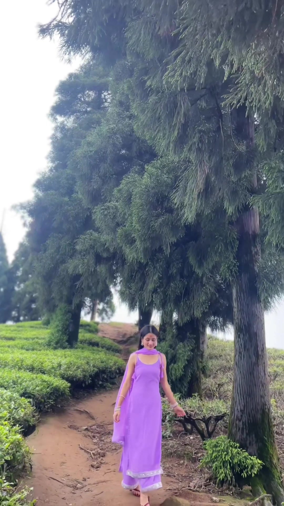 @Roshni Bashyal