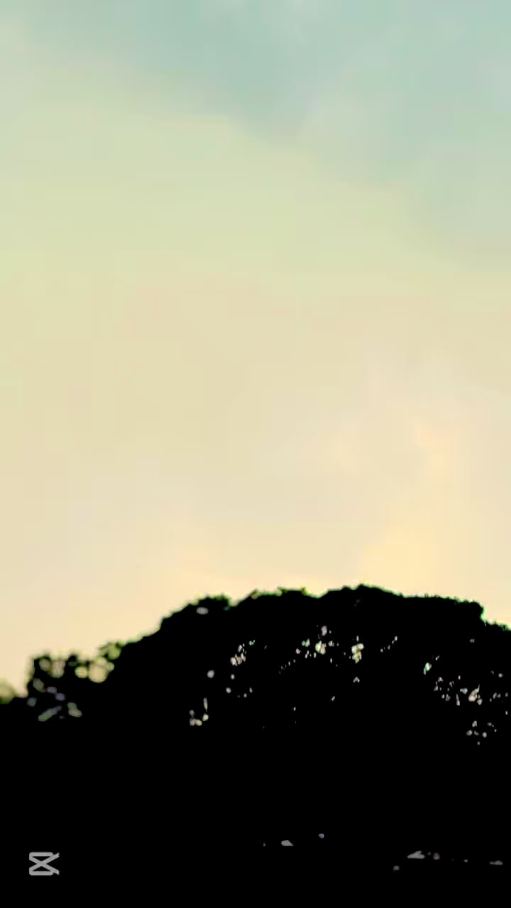 @✔️☀𝑀𝑎𝑙𝑖𝑘 𝑈𝑚𝑎𝑟☀🦅